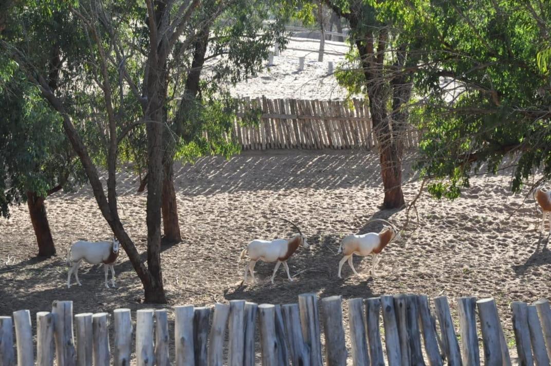 Residence Fanti Sidi Binnzarene エクステリア 写真