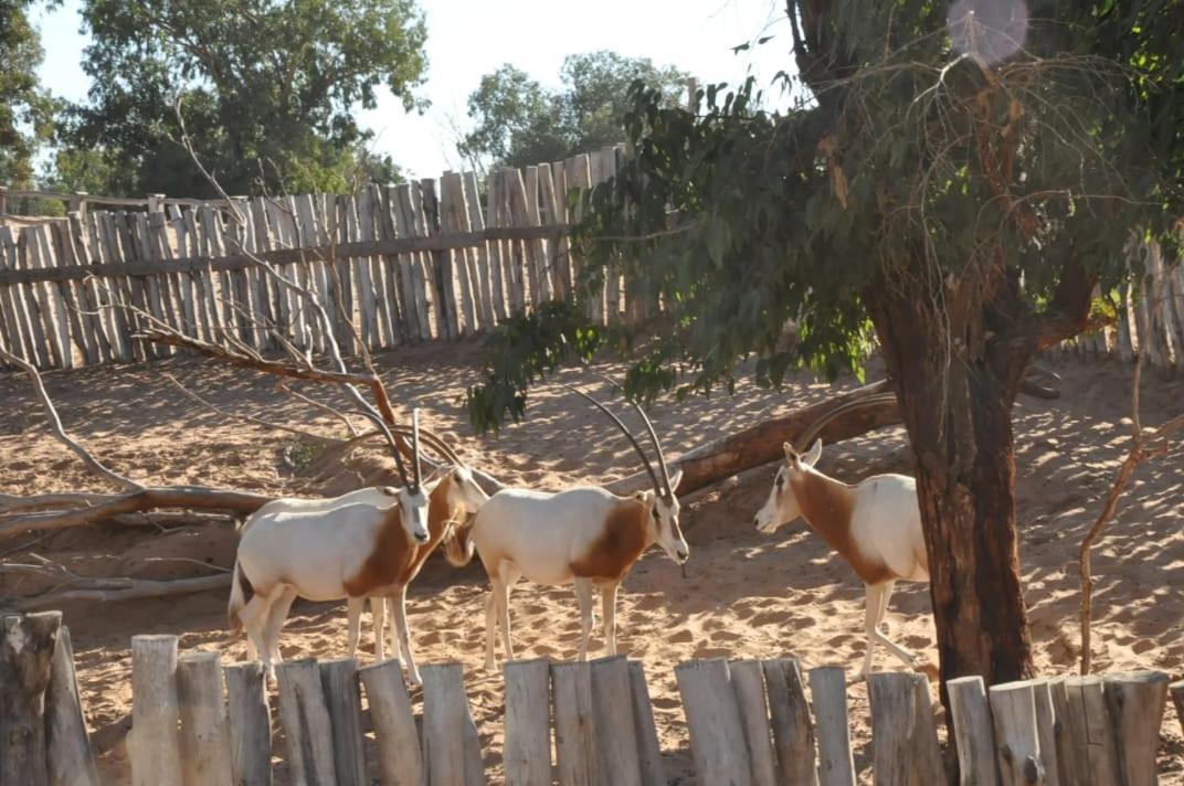 Residence Fanti Sidi Binnzarene エクステリア 写真