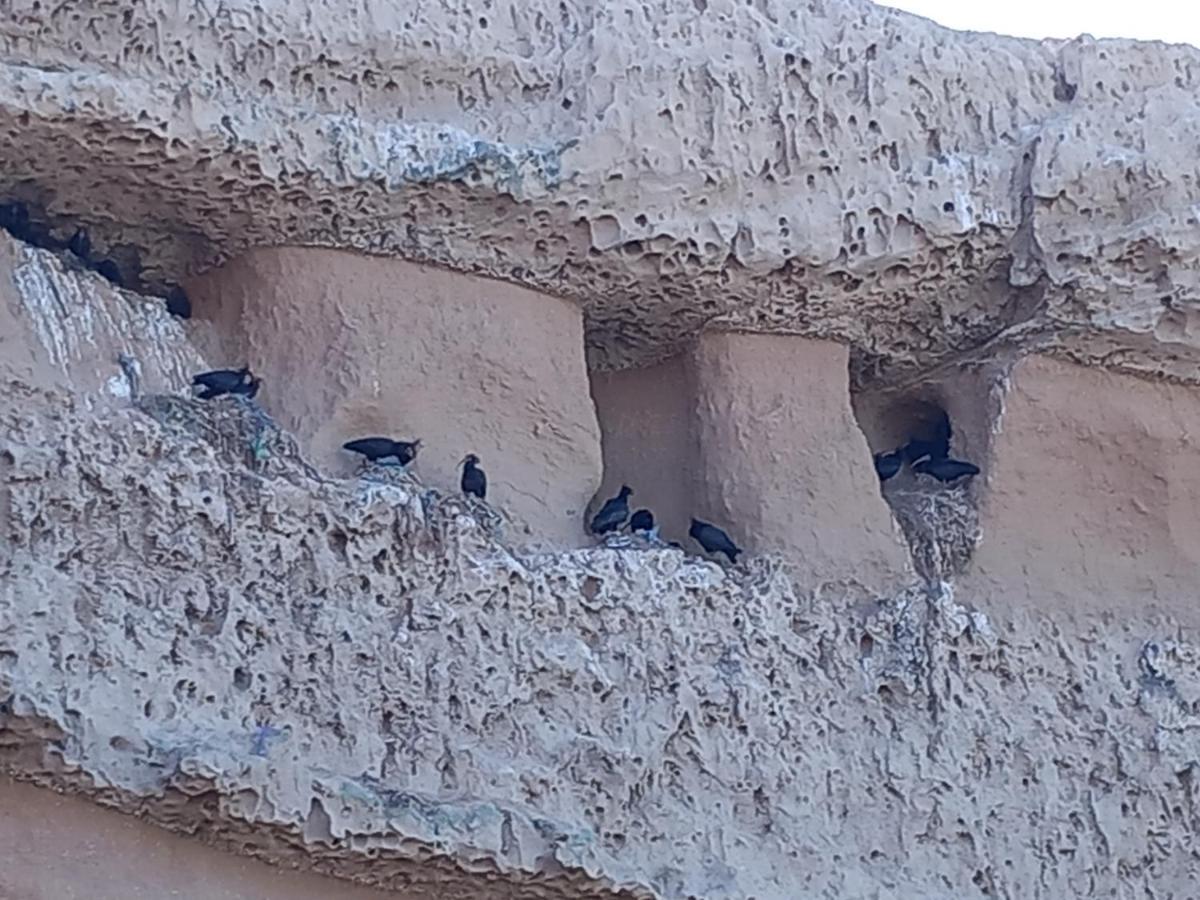 Residence Fanti Sidi Binnzarene エクステリア 写真